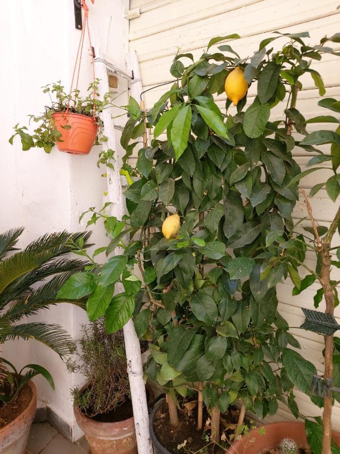 Daria'S Home Apartament Παλέρμο Εξωτερικό φωτογραφία