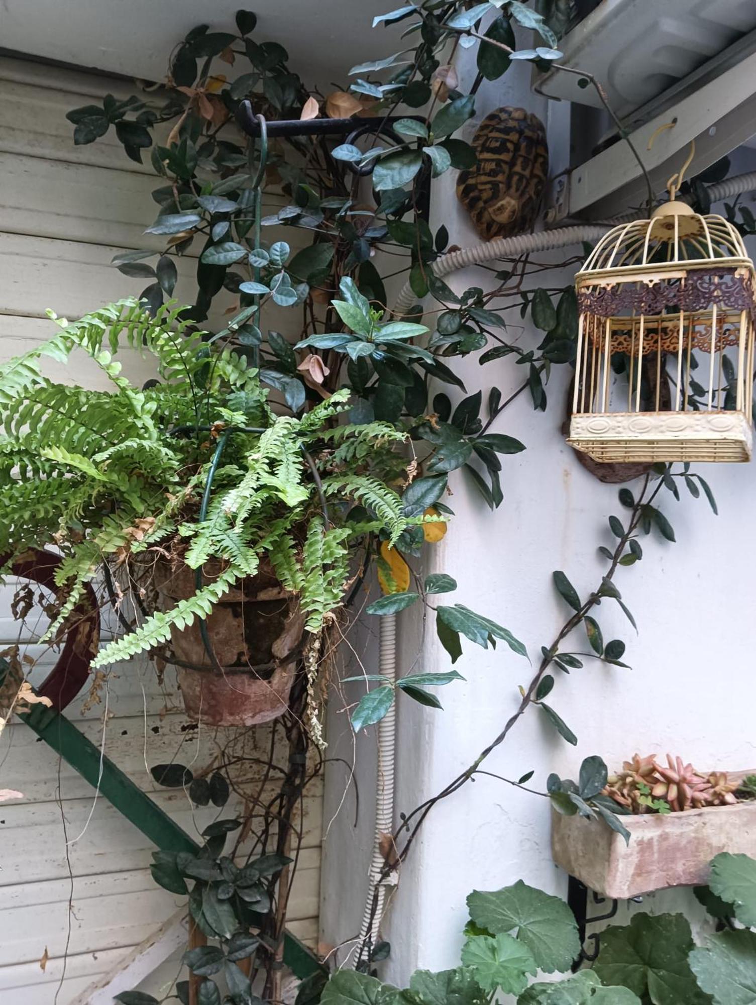 Daria'S Home Apartament Παλέρμο Εξωτερικό φωτογραφία